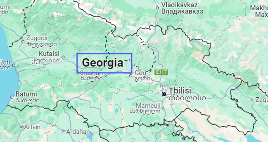GONSIN_Enhanced_International_Cooperation_Conferences_Across_Different_Fields_in_Georgia_01.jpg